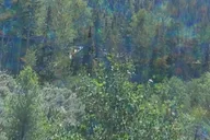 Denver Cannabis Mountain Tour thumbnail 3