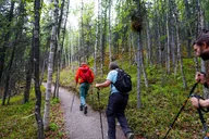 Denali Park Nature Walk with Expert Naturalist 3 hr thumbnail 2