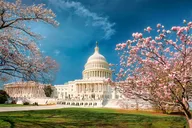 Washington DC Tour for Seniors from New York 2 Days thumbnail 3