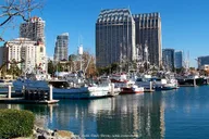 San Diego Beaches Private Driving Tour thumbnail 3