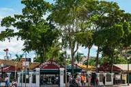 Miami Little Havana Food Walking Tour thumbnail 2