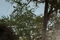 Woodstock Ghost Tour with Pub Crawl 2 hr thumbnail 6