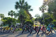 Isle of Palms Electric Bike Rental 2 hr thumbnail 4