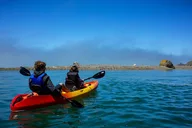 Sonoma Coast Russian River Kayak Tour thumbnail 2