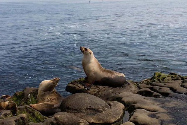 San Diego Day Trip from Los Angeles - Image 1