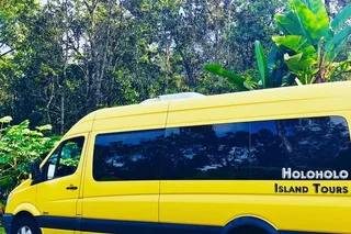 Kona Coast Farms Tour