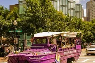 Boston Duck Tour thumbnail 4