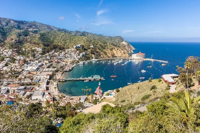 Avalon City and Scenic Mount Ada Tour - Image 5