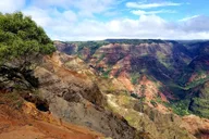 Kauai Waimea Canyon Private Tour thumbnail 5