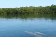 Key Largo Boat Eco Tour thumbnail 3