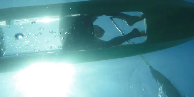 Maui Clear Bottom Kayak Rental - Image 3