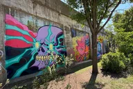 Chicago Street Art Tour in Fulton Market 2 hr thumbnail 6
