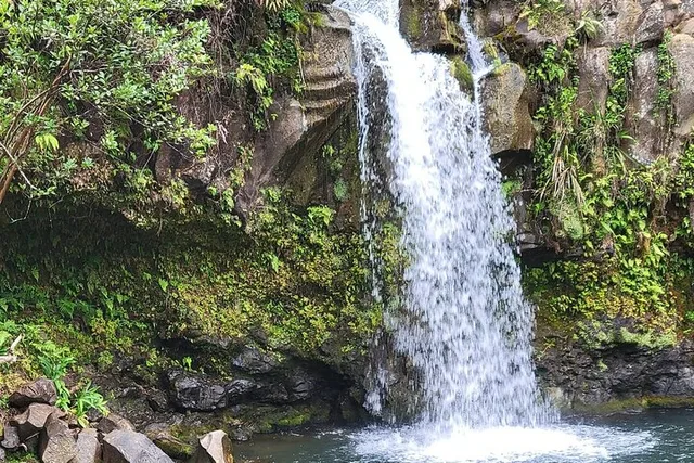 Maui Road to Hana Tour Half Day - Image 1
