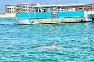Fort Walton Beach Snorkel and Dolphin Adventure thumbnail 3