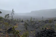 Hawaii Volcanoes National Park Private Tour thumbnail 6