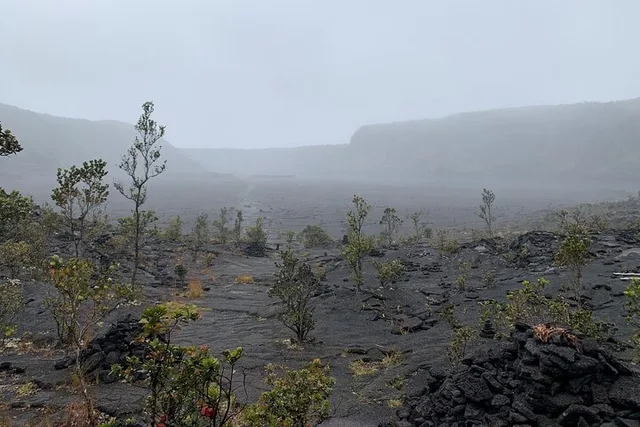 Hawaii Volcanoes National Park Private Tour - Image 6