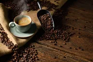 Seattle Bean to Cup Coffee Tour thumbnail 5