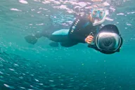 San Diego Snorkel Adventure thumbnail 4