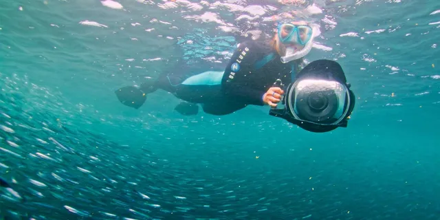 San Diego Snorkel Adventure - Image 4