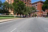 Dallas Private Tour with Reunion Tower thumbnail 6