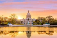 Washington Private Walking Tour thumbnail 3