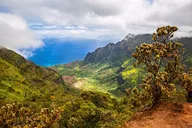 Kauai Waimea Canyon Private Tour thumbnail 2