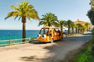 Avalon City Tour by Electric Golf Cart thumbnail 1