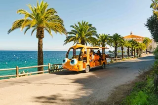 Avalon City Tour by Electric Golf Cart