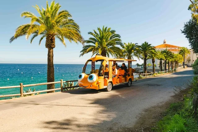 Avalon City Tour by Electric Golf Cart - Image 1