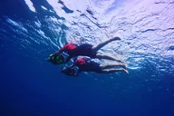 Lahaina Sea Scooter Snorkeling Tour thumbnail 3