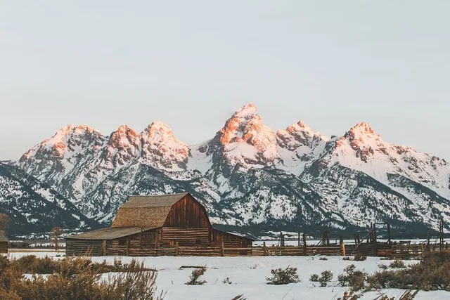 Grand Teton Winter Wildlife Tour - Image 6