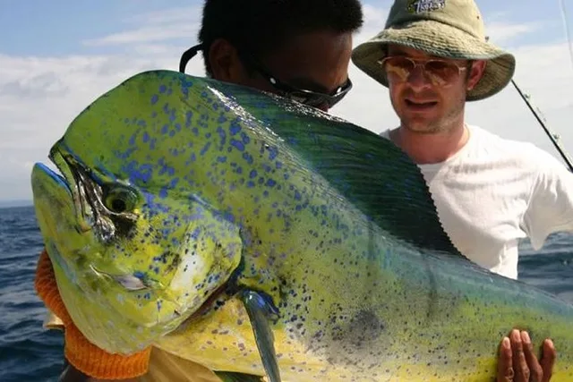 Orlando Deep Sea Fishing Charter - Image 3
