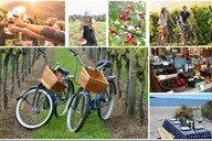 Mattituck Farm and Wine Country Bike Tour thumbnail 1