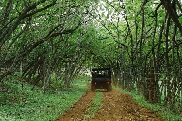 Oahu Off-Road Tour at Gunstock Ranch 1 hr - Image 4