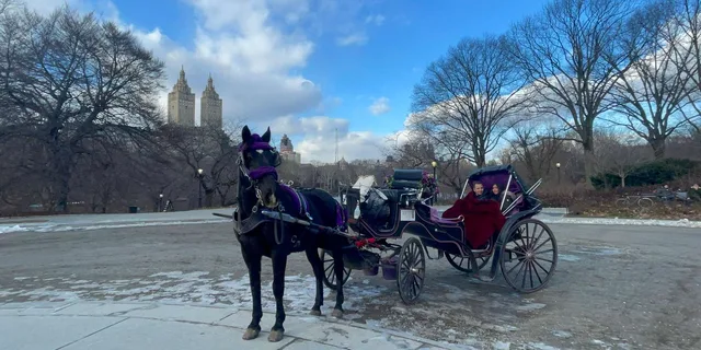 New York Central Park Horse Carriage Ride - Image 2