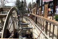 Denver Rocky Mountain National Park Private Day Tour thumbnail 3