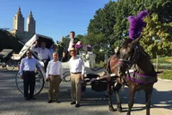 NYC Central Park Horse and Carriage Ride thumbnail 4