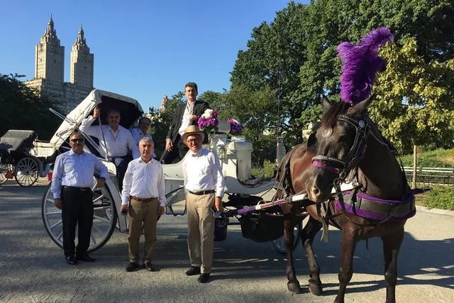 NYC Central Park Horse and Carriage Ride - Image 4