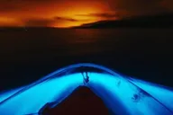 Cocoa Beach Clear Kayaking Bioluminescent Tour 90 min thumbnail 3