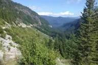 Seattle Mount Rainier Private SUV Tour thumbnail 6