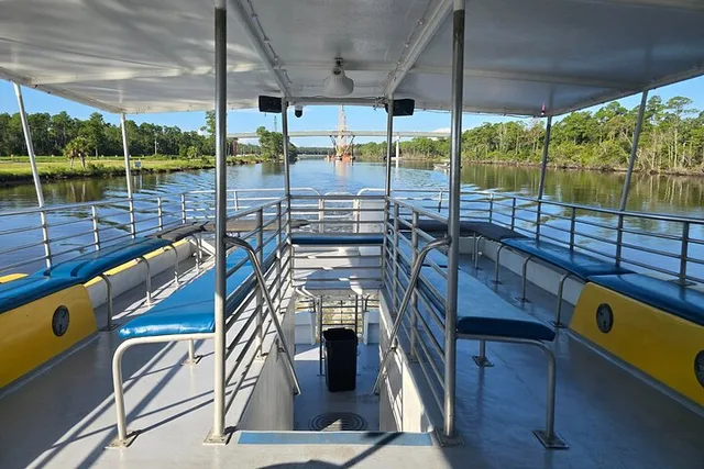 Orange Beach Dolphin and Sunset Cruise - Image 5