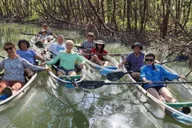 Naples Clear Kayak Eco Tour thumbnail 5