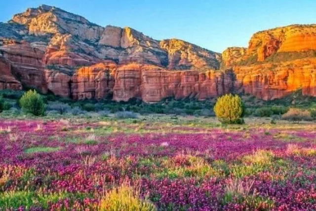 Sedona Scenic Tour 2.5 hr - Image 5