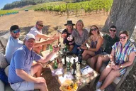 Wine Country Group Wine Tasting Tour thumbnail 4