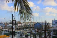 Key West Hemingway Food and Walking Tour thumbnail 5
