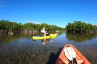 Key Largo Mangrove Tunnel Kayak Adventure thumbnail 5