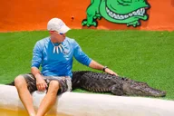 Miami Everglades Airboat Ride and Gator Encounter thumbnail 3