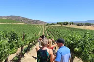 Anaheim Temecula Wine Tour thumbnail 3