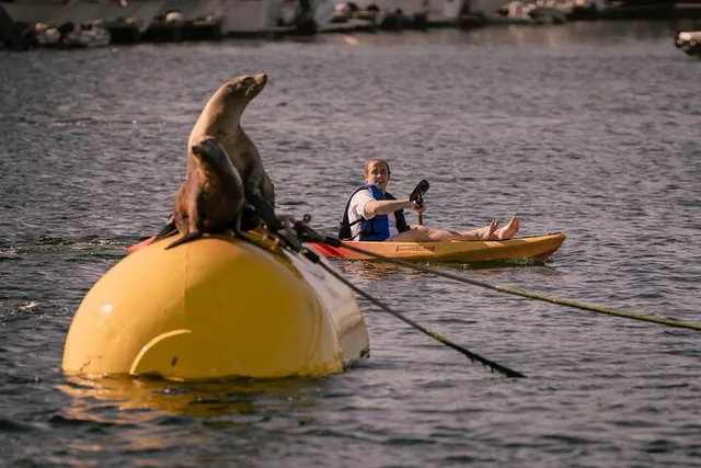 San Diego Tandem Kayak Rentals in Mission Bay - Image 5