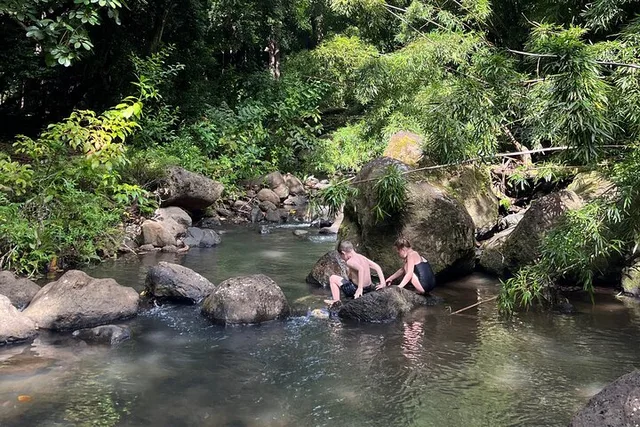 Oahu Waterfall Hike and Beach Road Trip - Image 6
